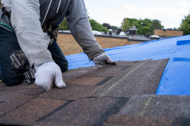 Best Sealant for Roof  in Byron, GA